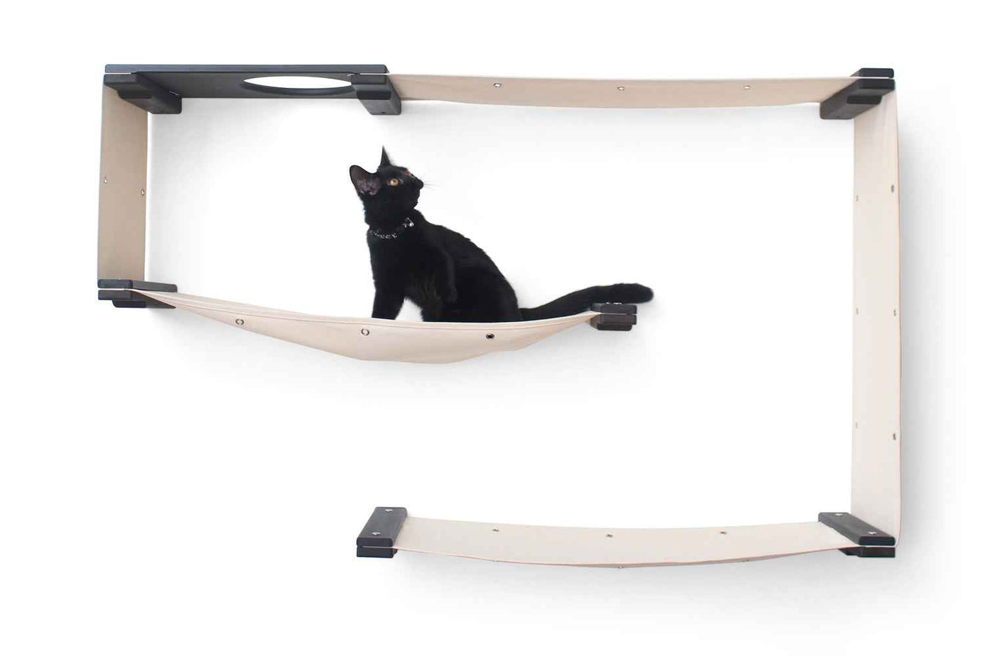 Cat Wall Maze