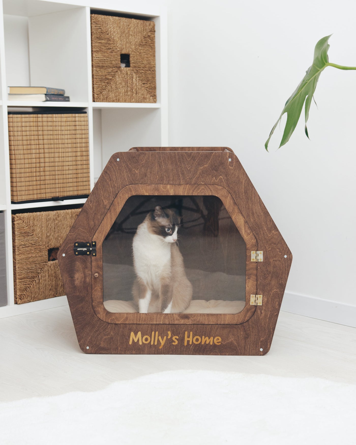 PET HOUSE Color Dark Walnut