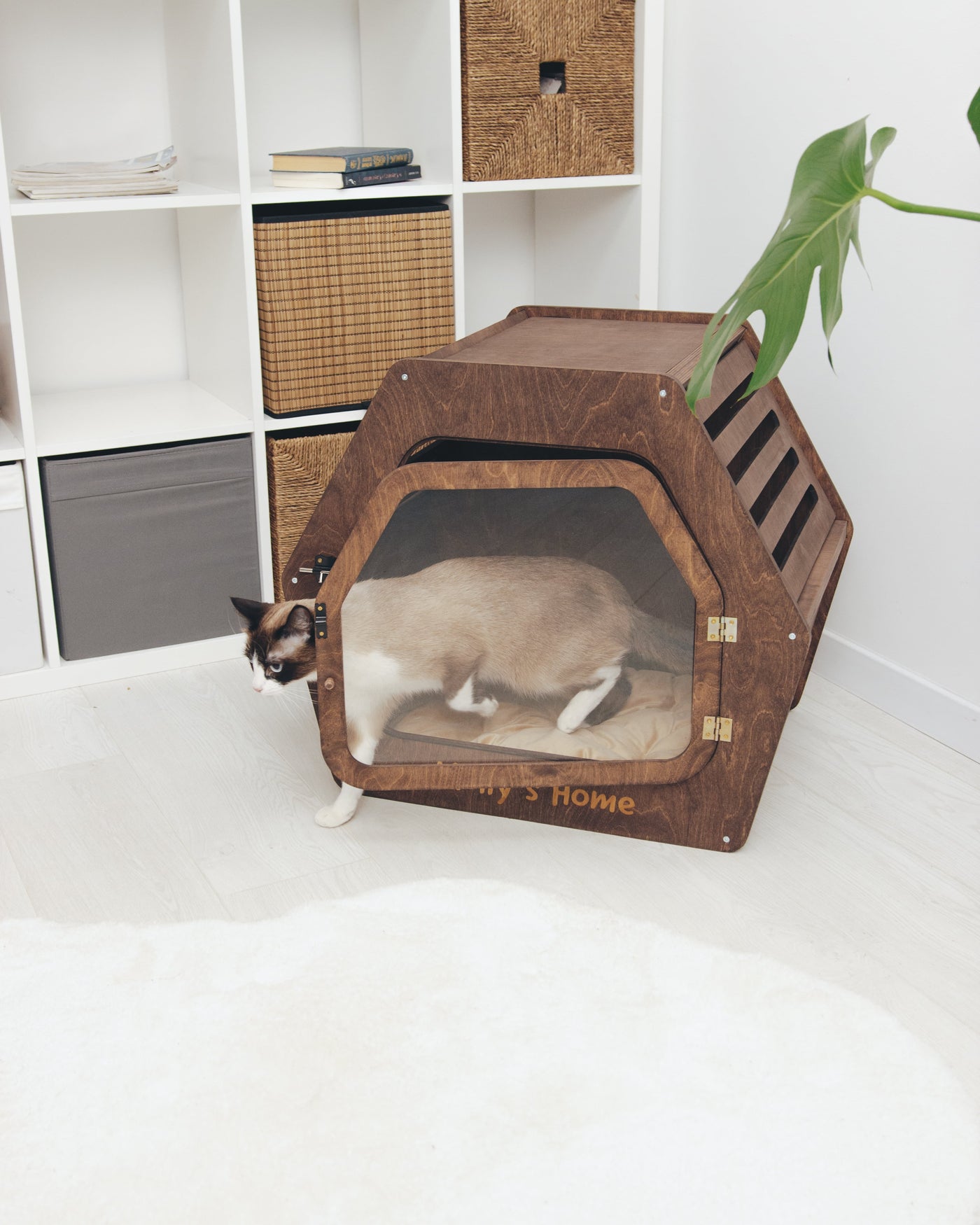 PET HOUSE Color Light