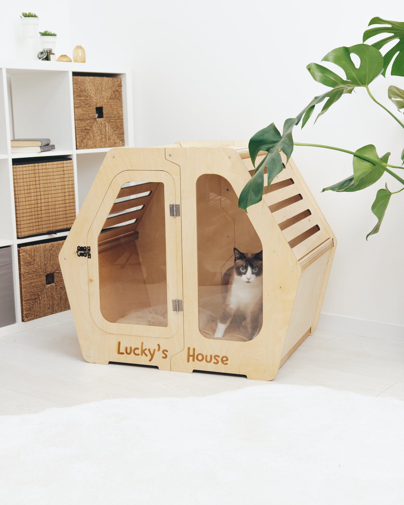 PET HOUSE Color Light