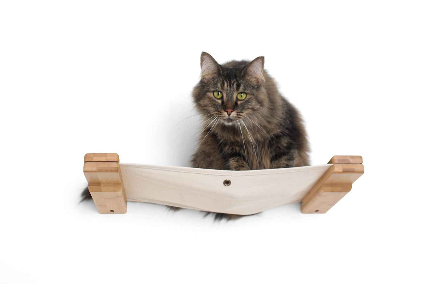 The Roman Cat Condo