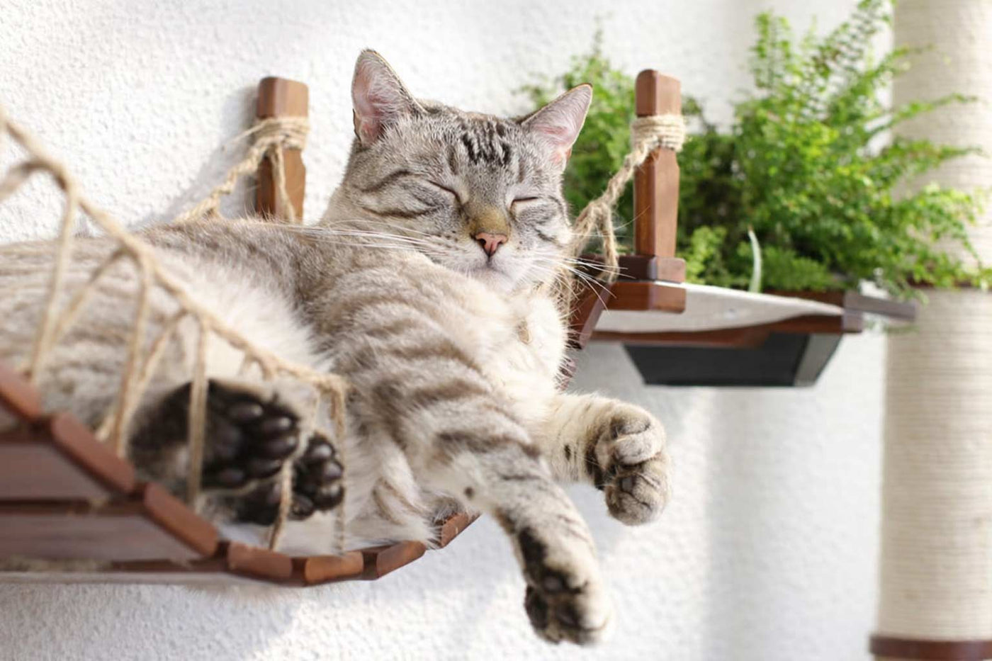 The Juggernaut - Indoor Cat Playground for Wall