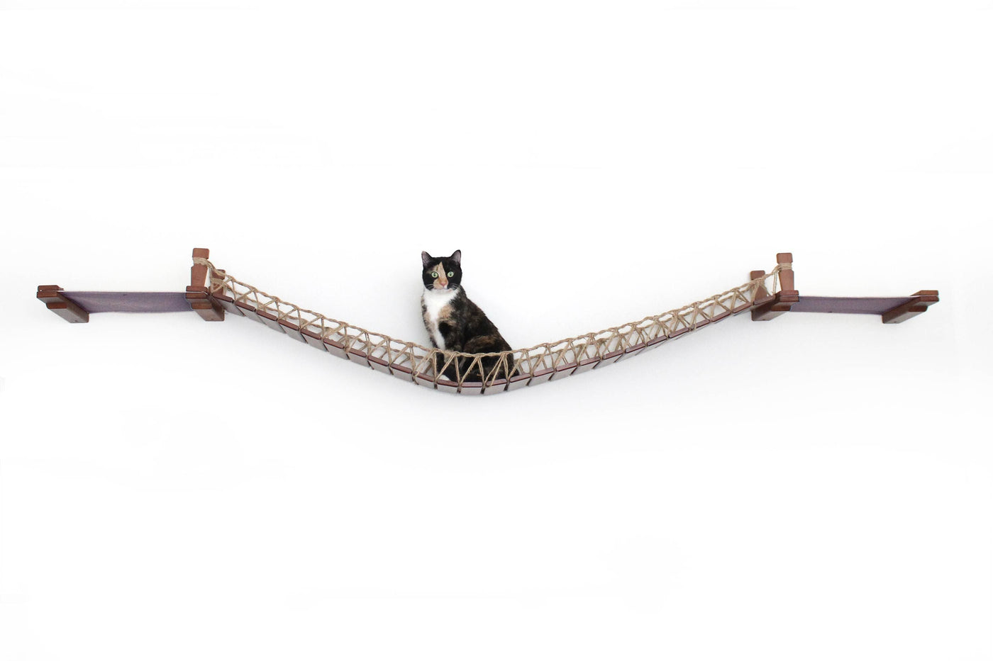 Wall mounted cat bridge with a canvas hammock at each end above a doorway