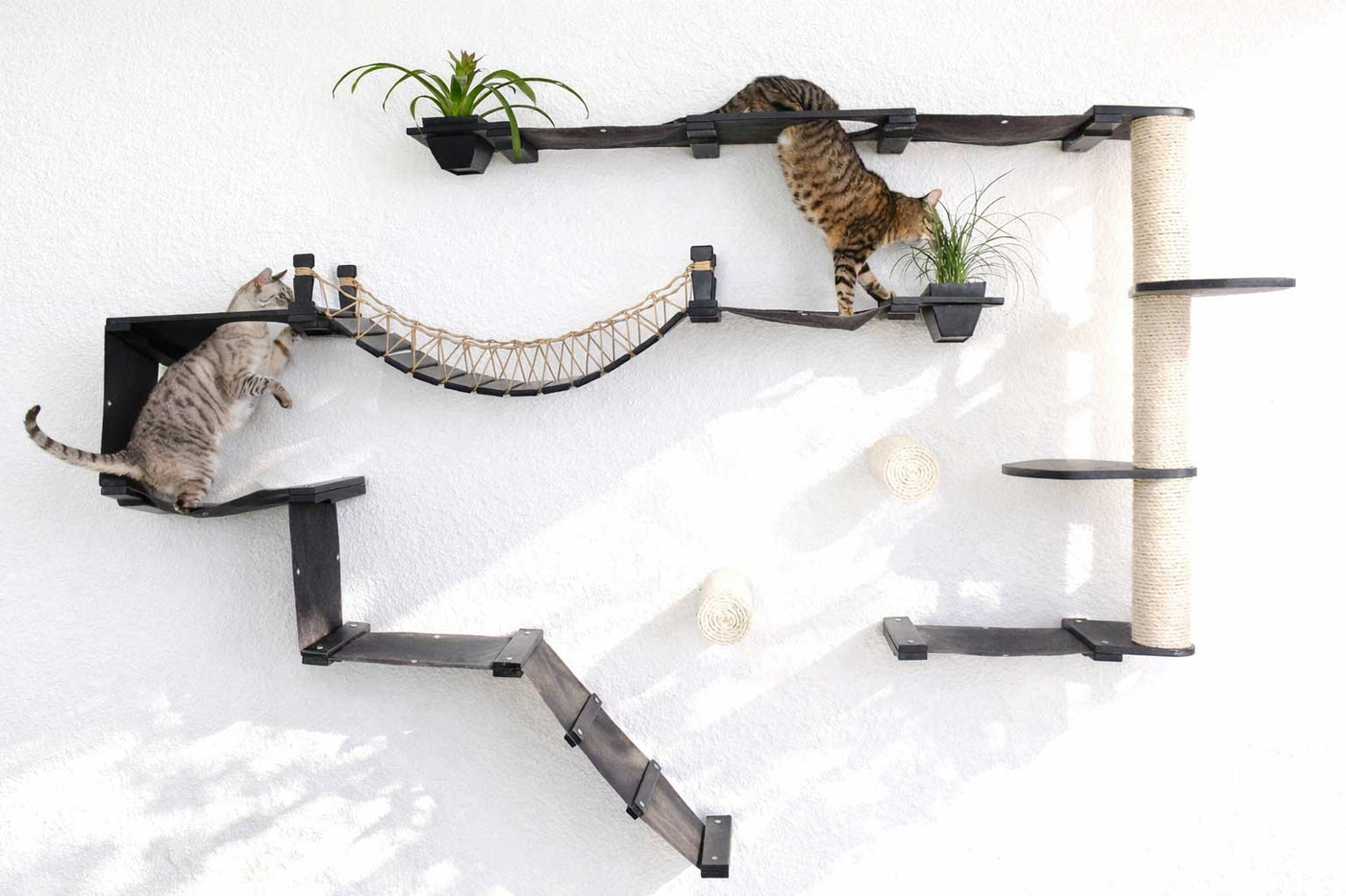 Large wall mounted cat condo packed with hammocks, a sisal pole, floating posts, a bridge, and a planter shelf