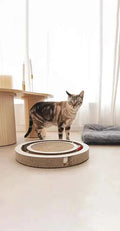Timon Interactive Cat Scratcher