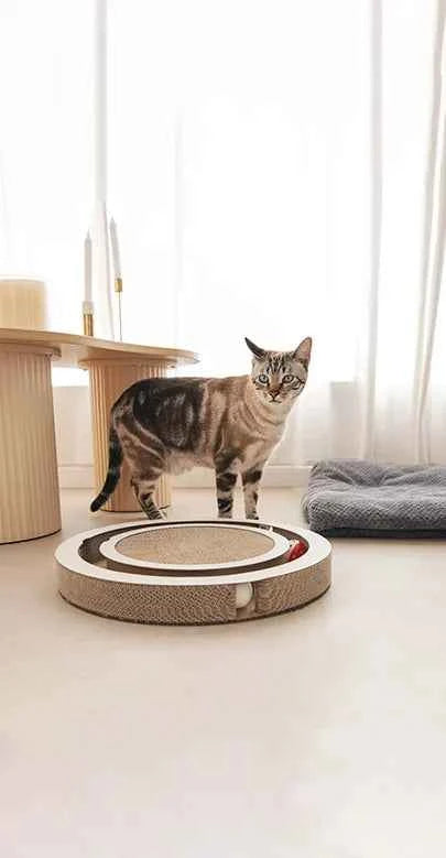Timon Interactive Cat Scratcher