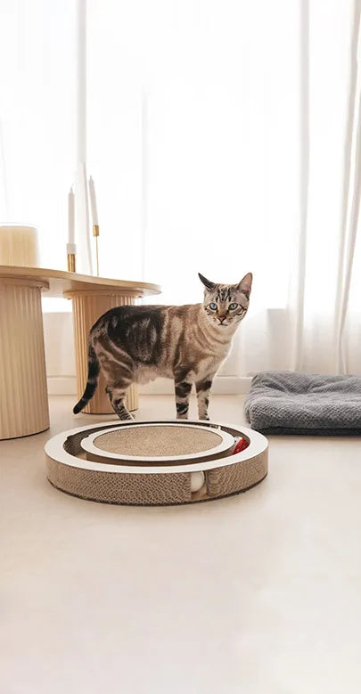 Timon Interactive Cat Scratcher by Althea Living