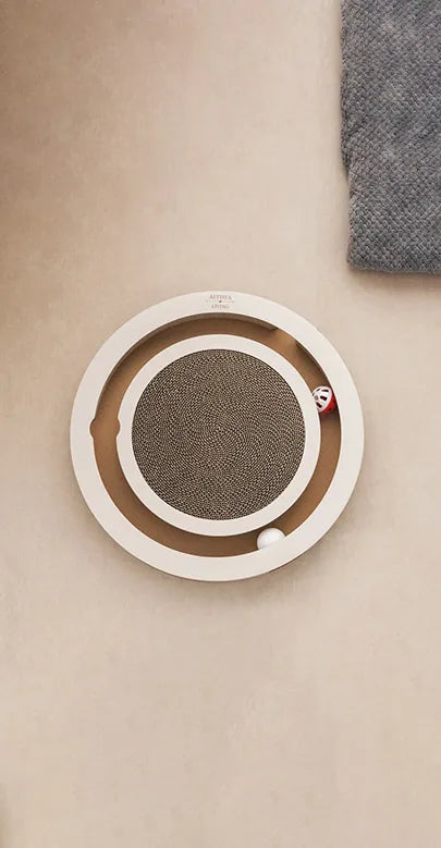 Timon Interactive Cat Scratcher, view 5