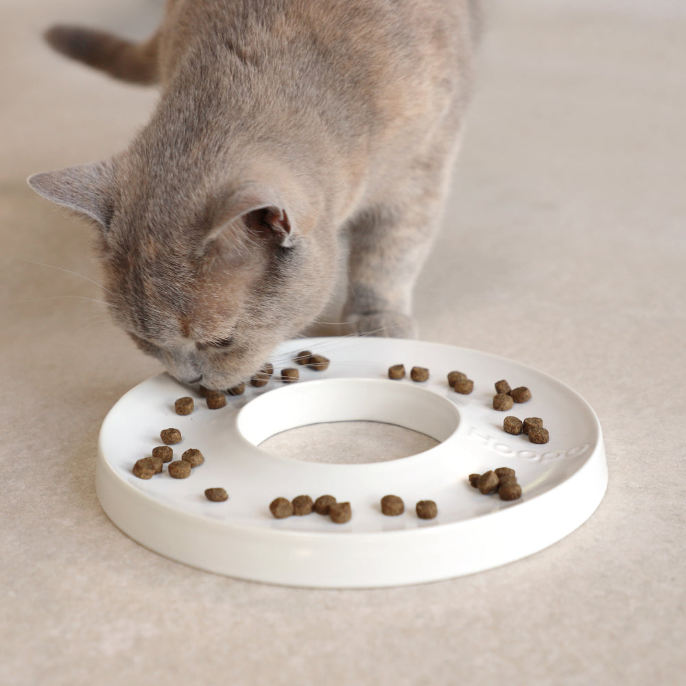 Ring Slow Feeder
