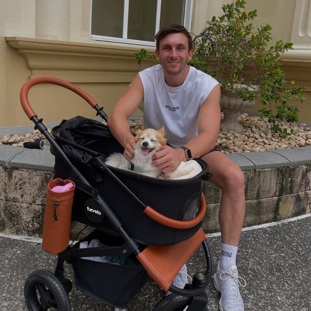 Furvelo Jogger cat stroller in black with large all terrain wheels