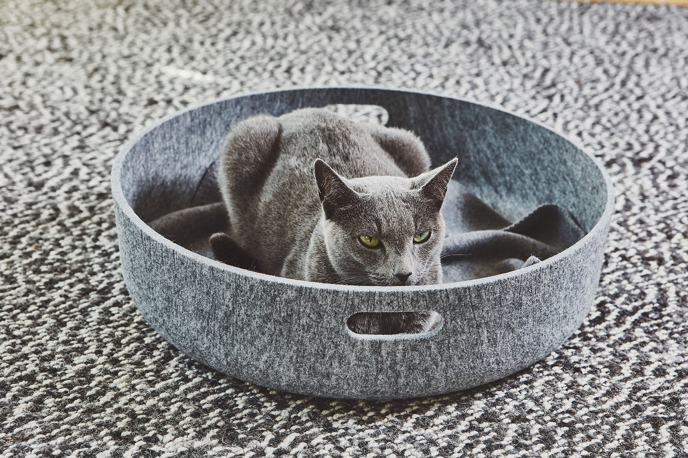 Cesto Cat Basket, Concrete