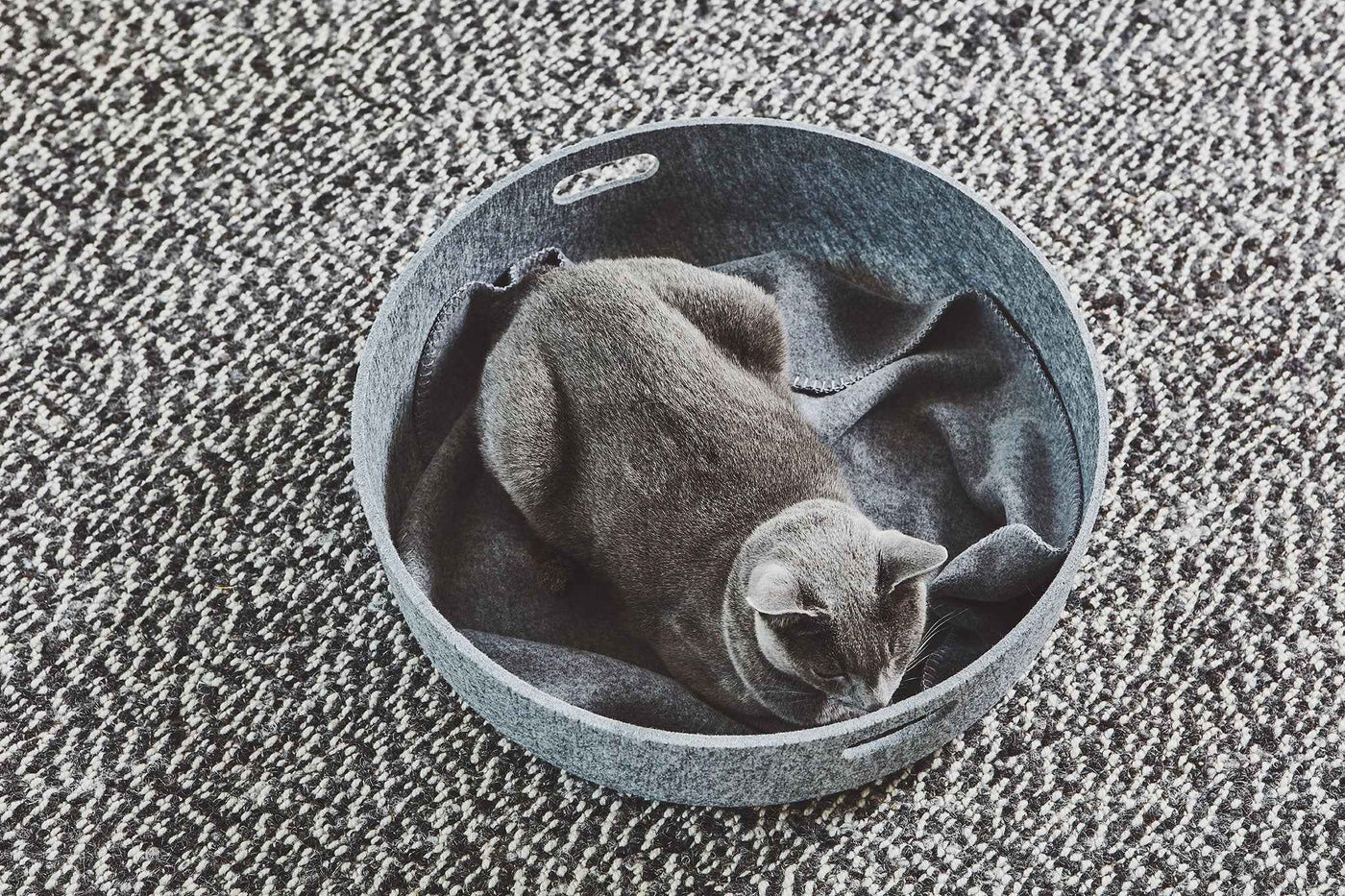 Cesto Cat Basket