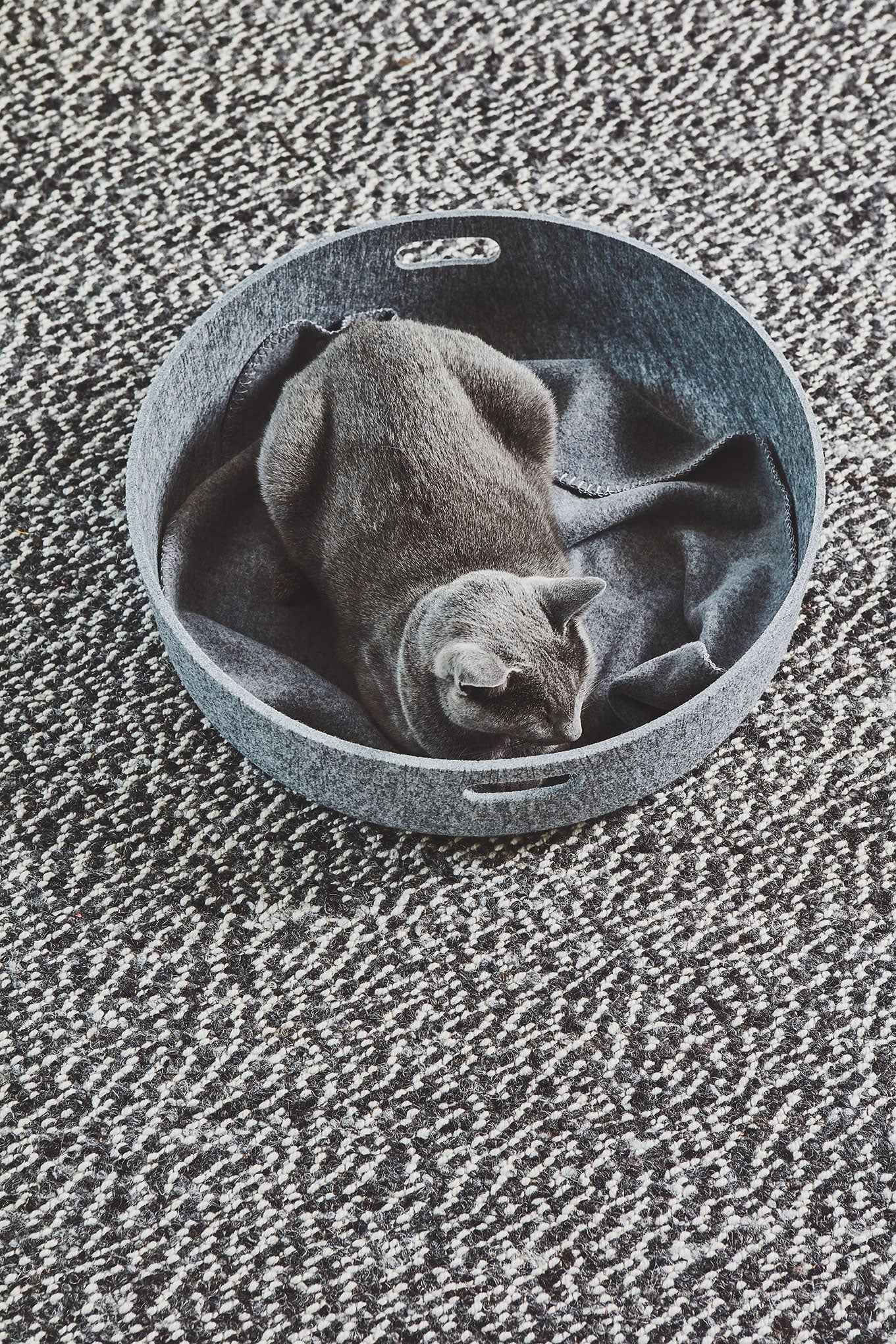 Cesto Cat Basket