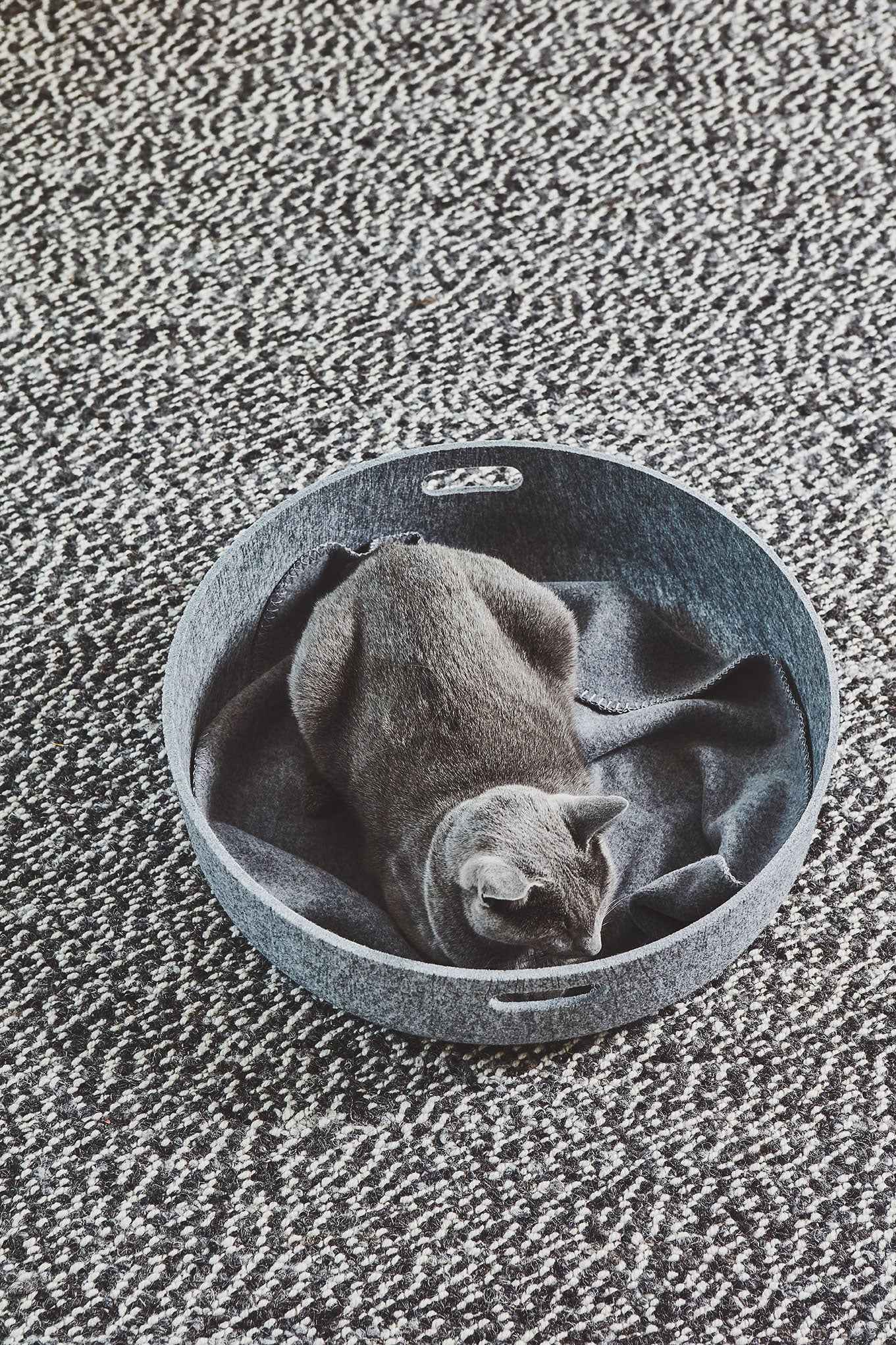 Cesto Cat Basket