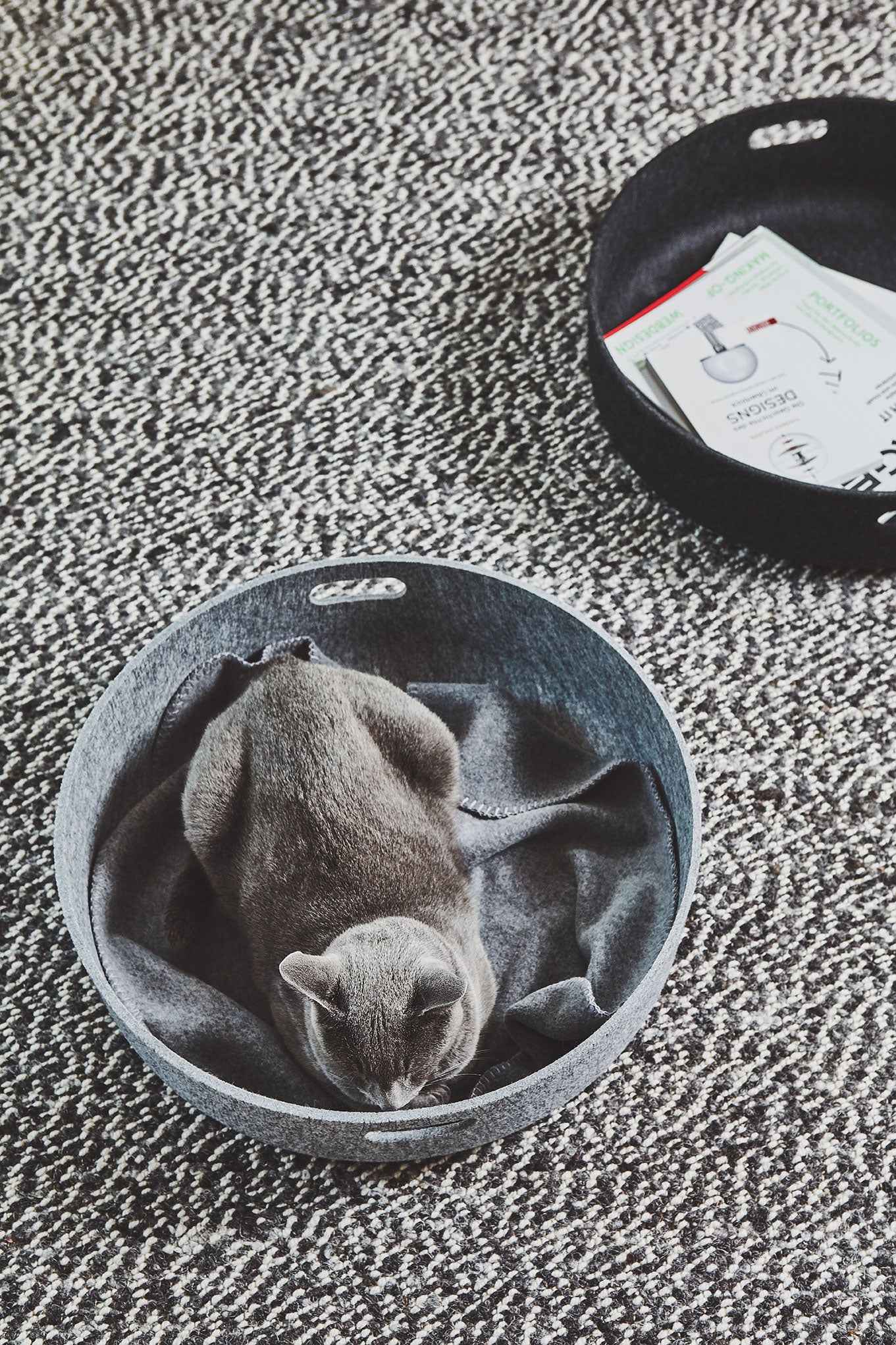 Cesto Cat Basket