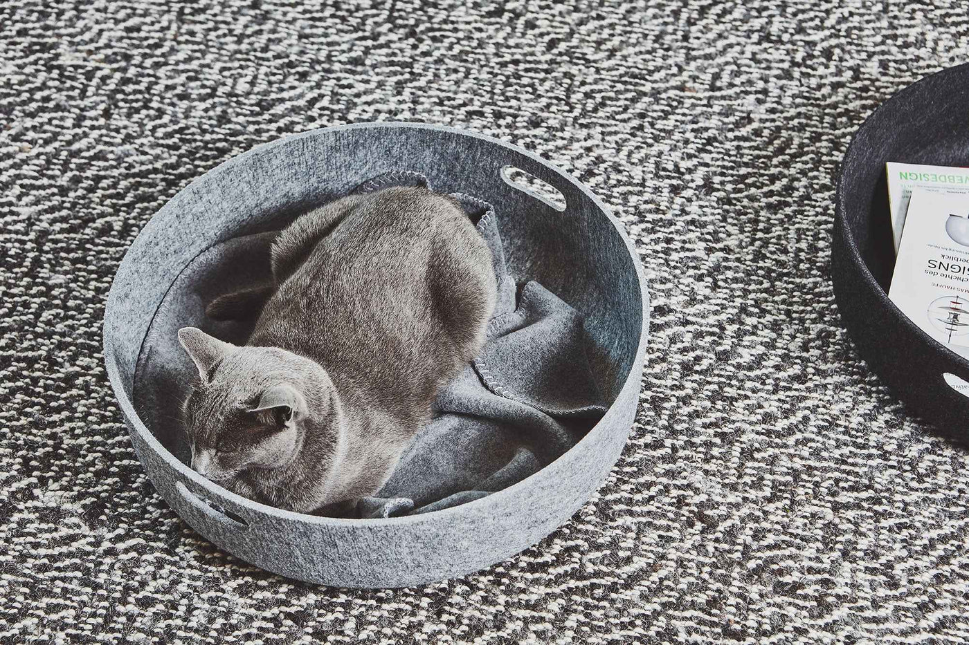 Cesto Cat Basket