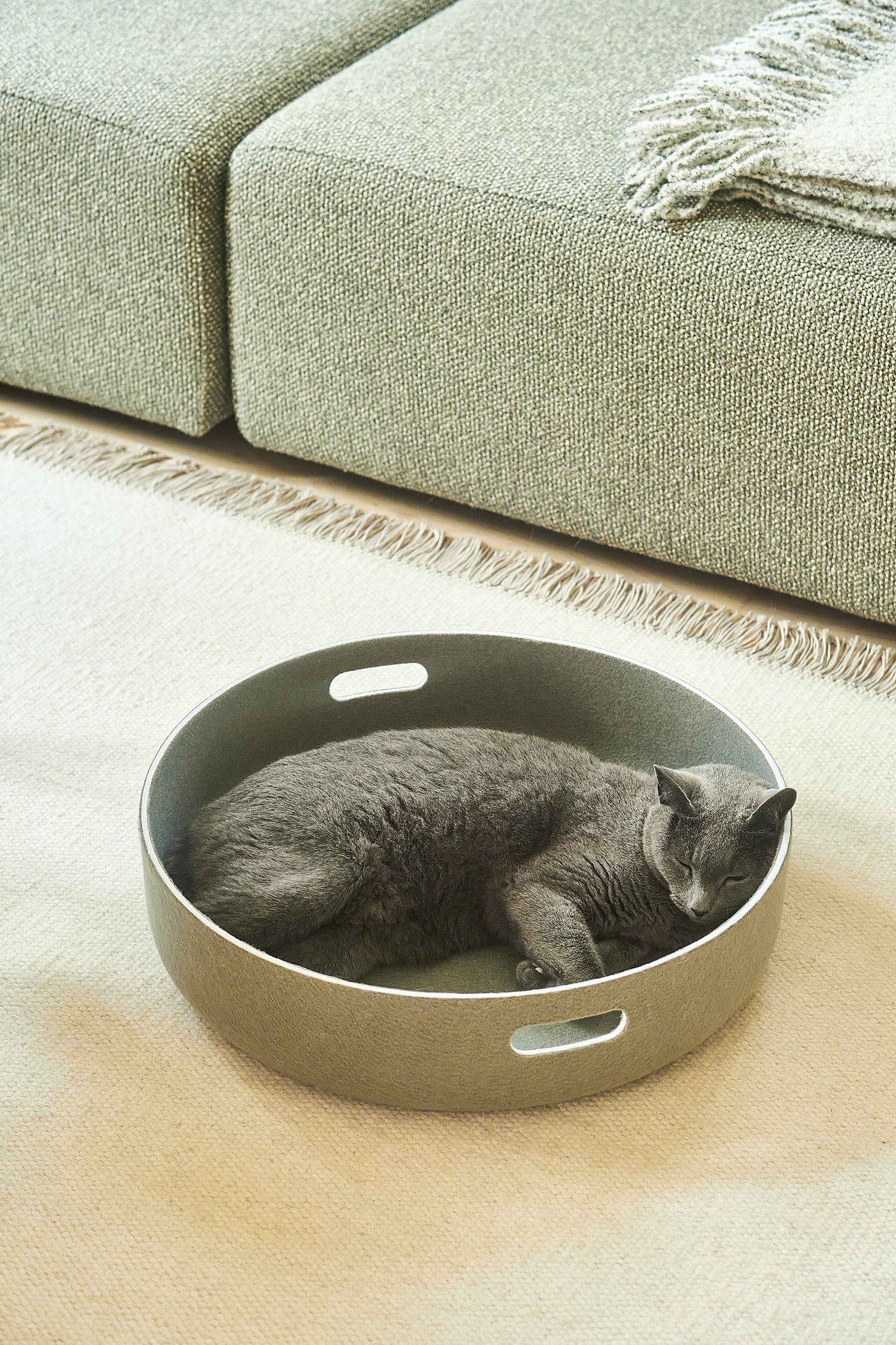Cesto Cat Basket