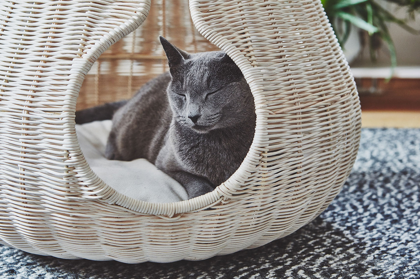 Perla Cat Cave, Natural