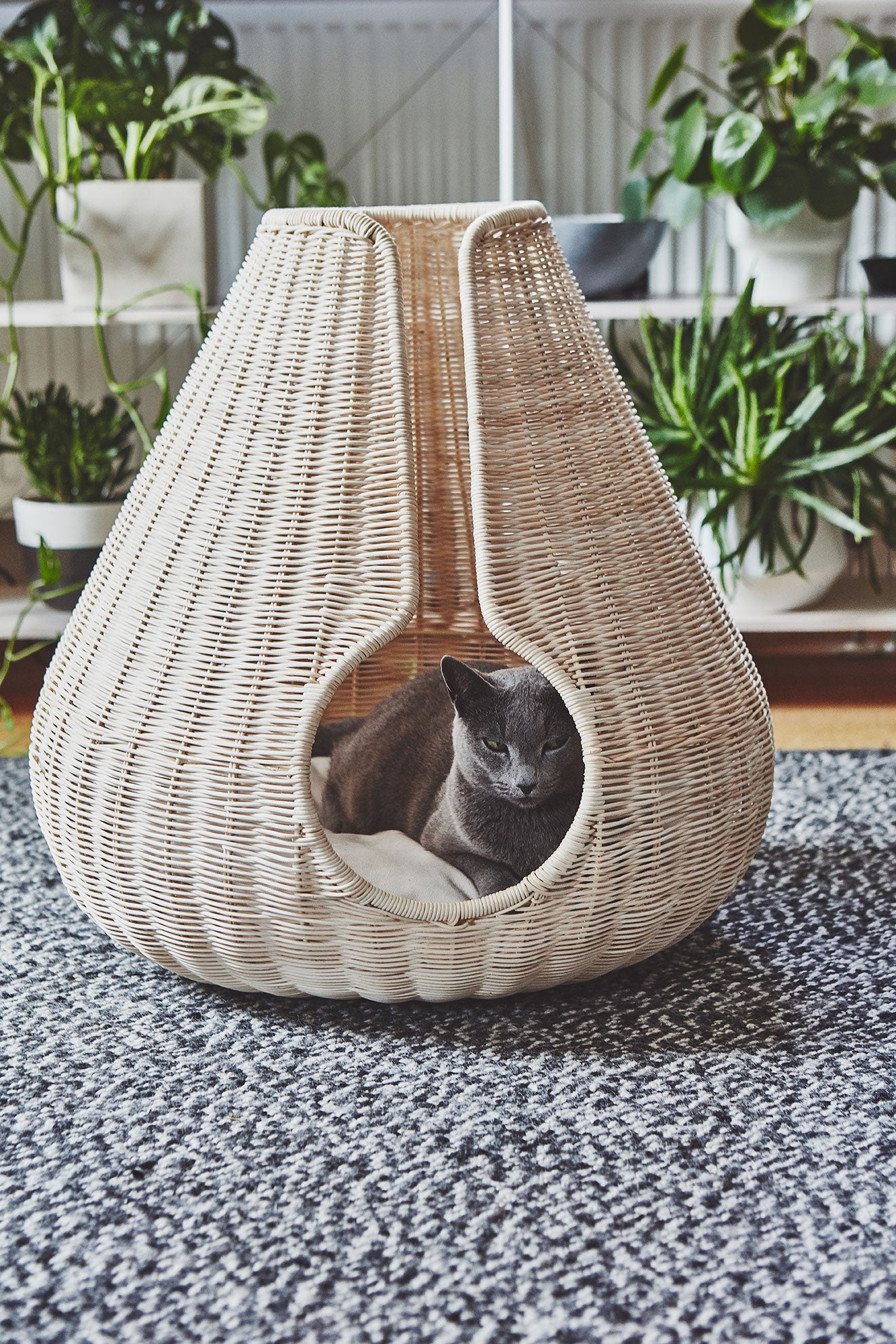 Perla Cat Cave, Natural