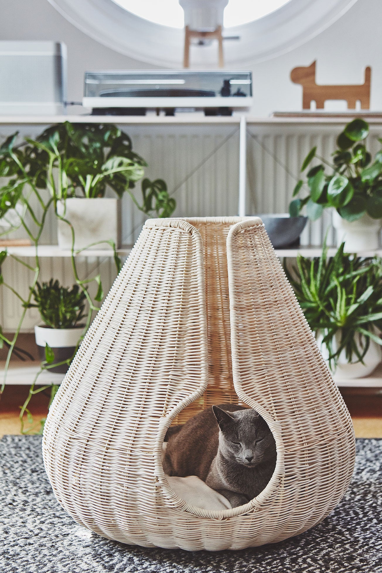 Perla Cat Cave, Natural