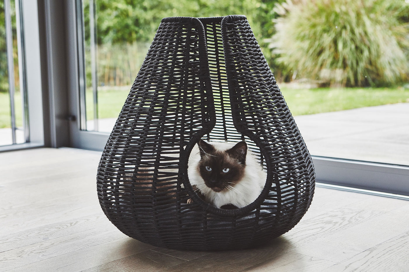 Perla Cat Cave, Anthracite