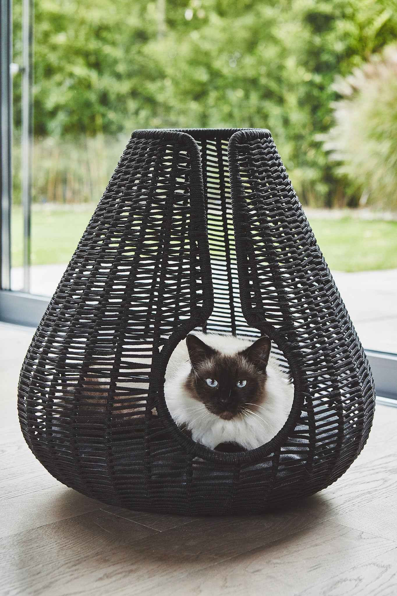 Perla Cat Cave