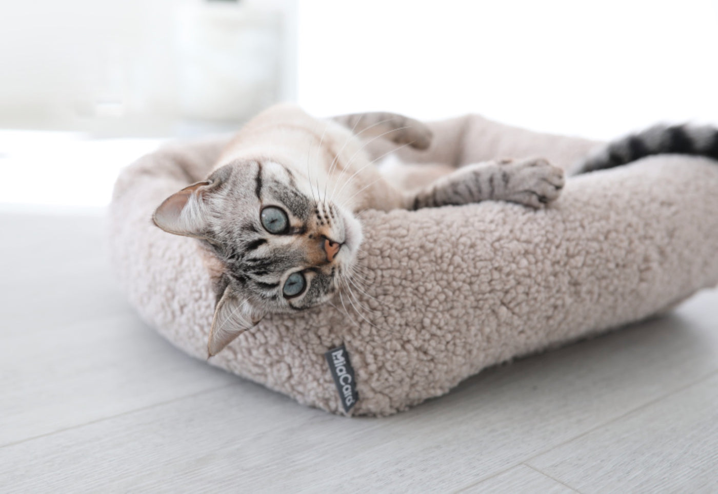 Senso Cat Bed, Greige