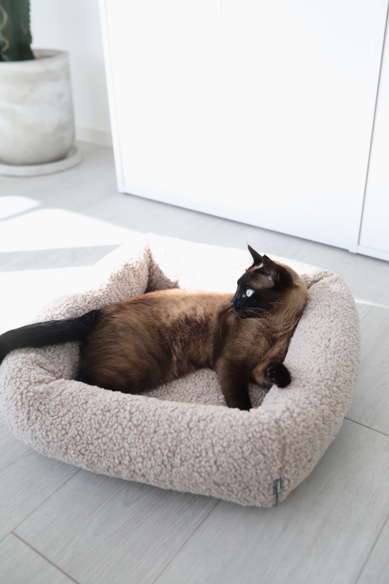 Senso Cat Bed, Greige