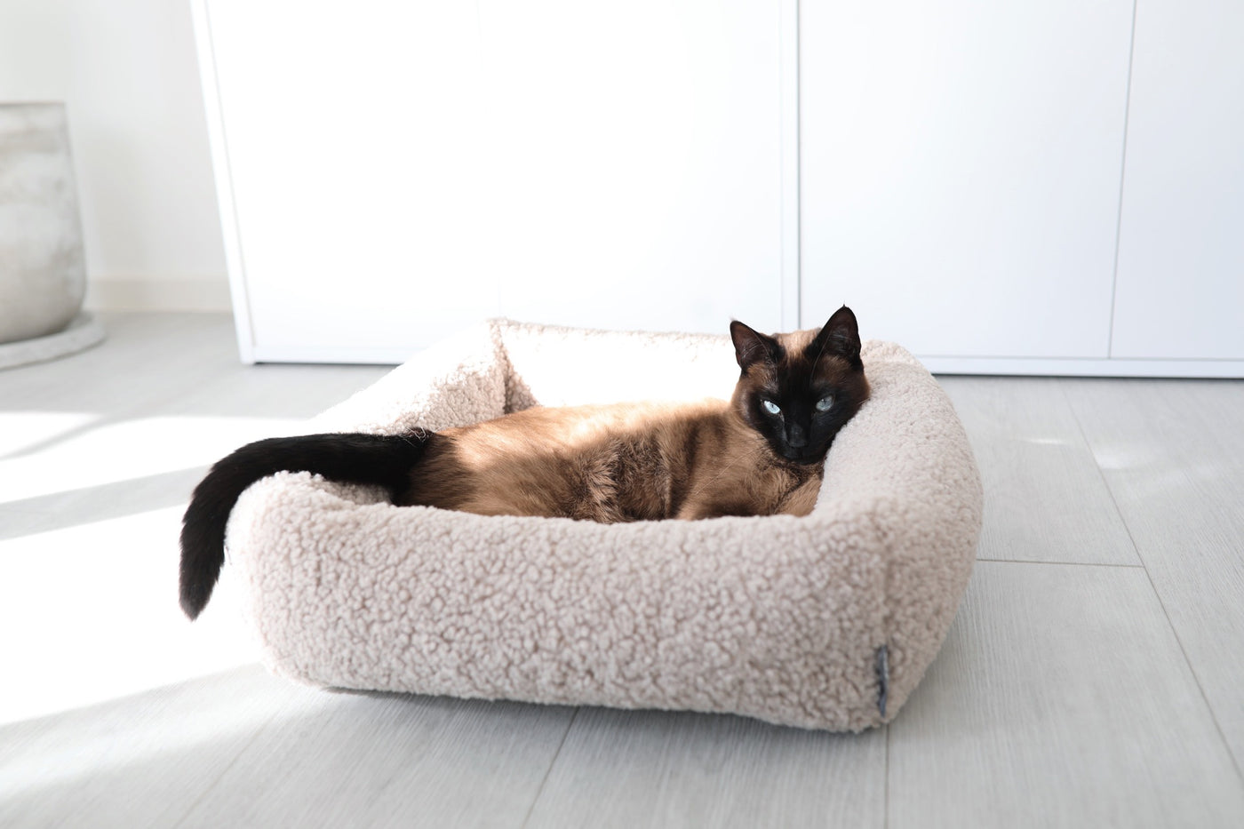 Senso Cat Bed, Greige