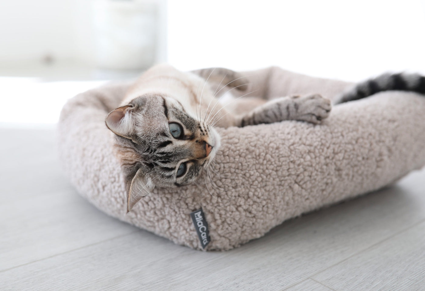 Senso Cat Bed, Greige