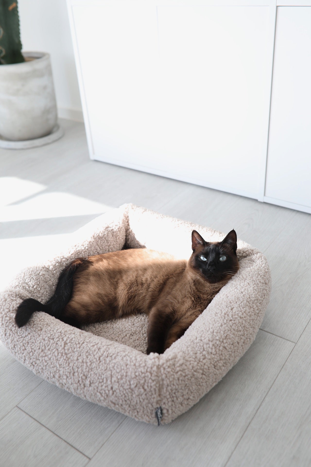 Senso Cat Bed, Greige