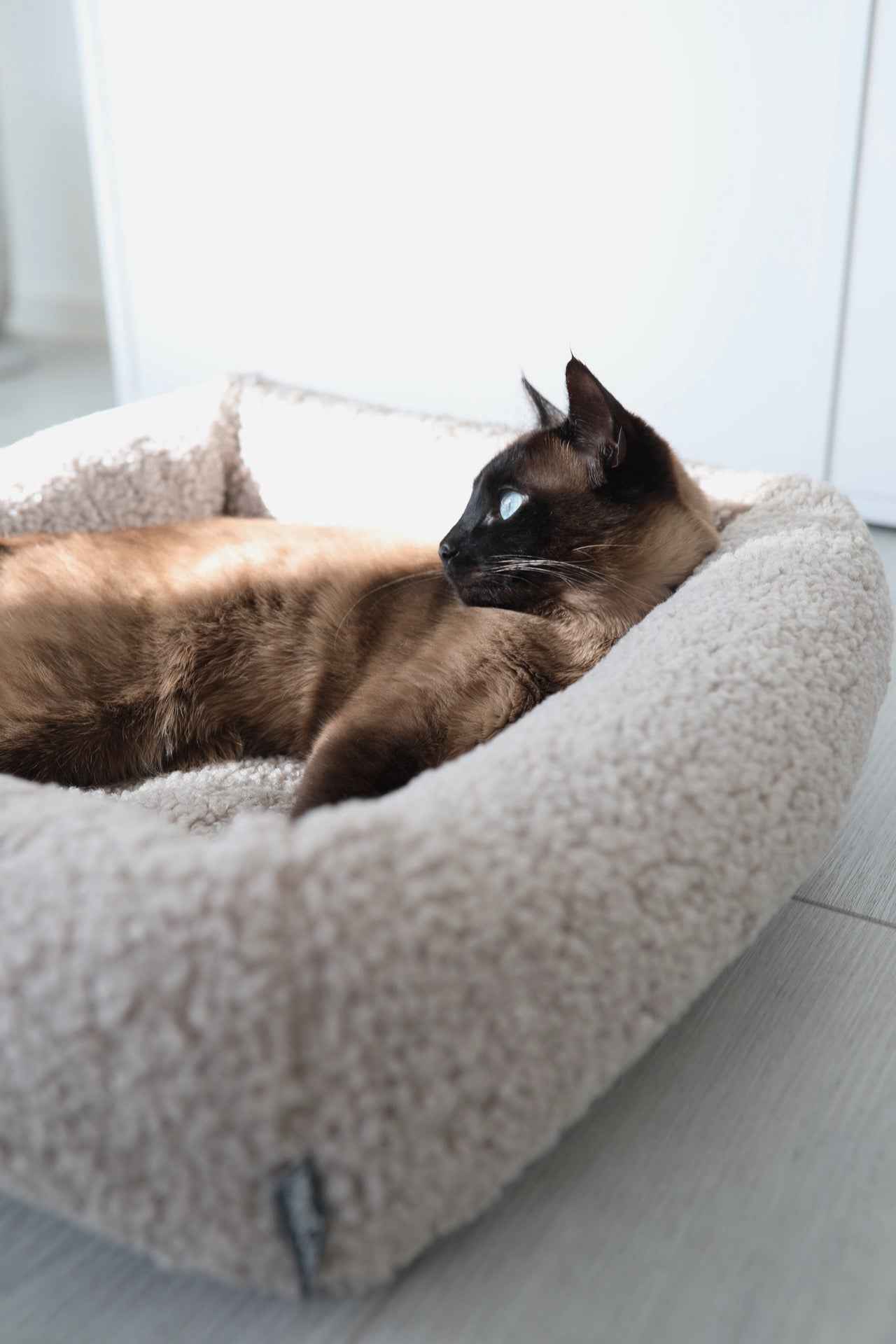 Senso Cat Bed