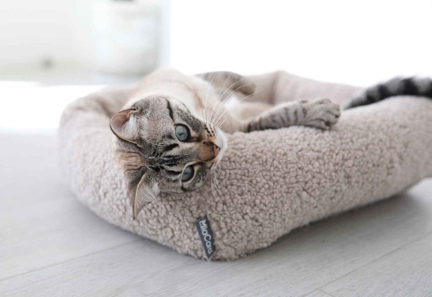 Senso Cat Bed