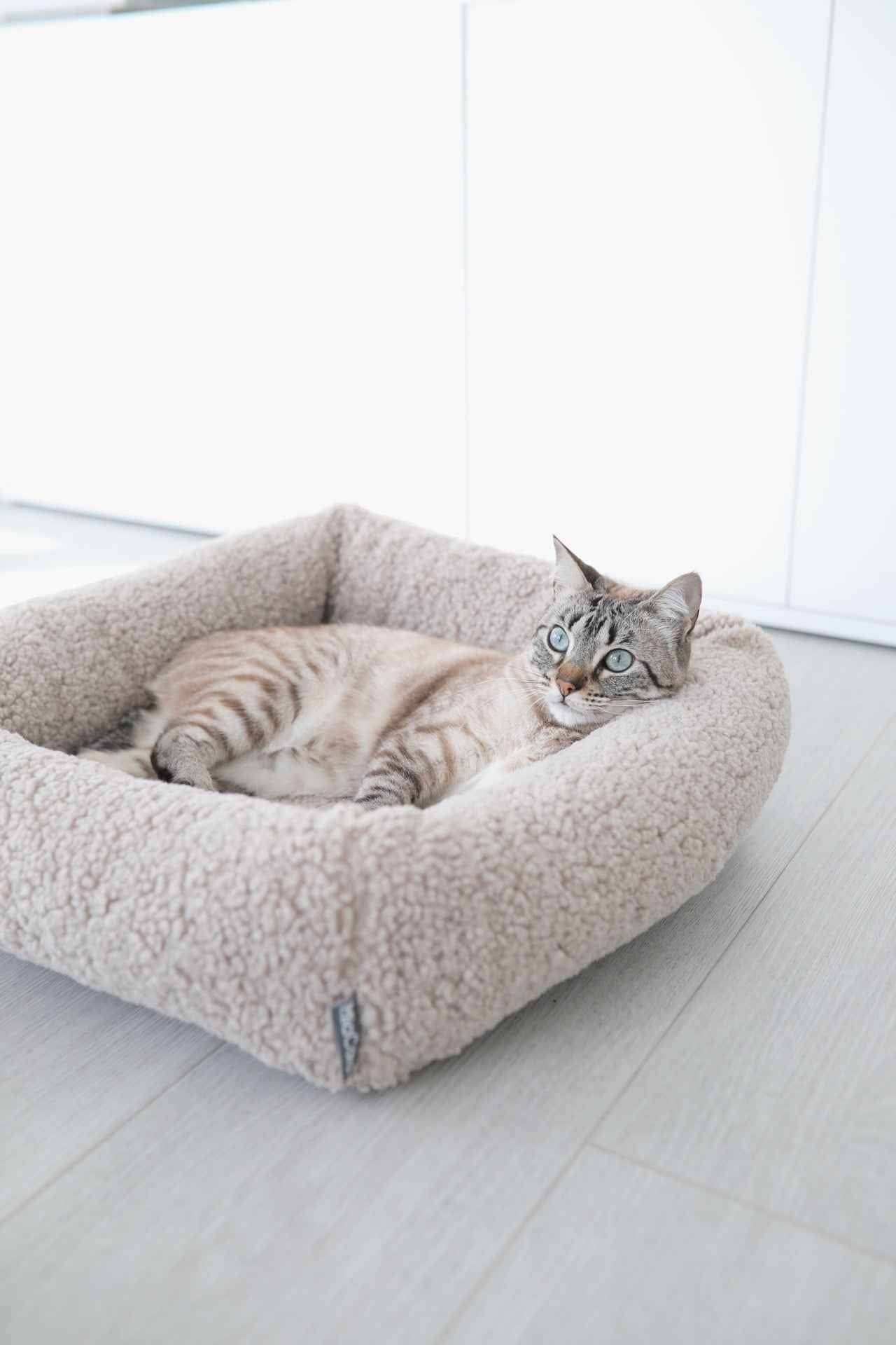 Senso Cat Bed