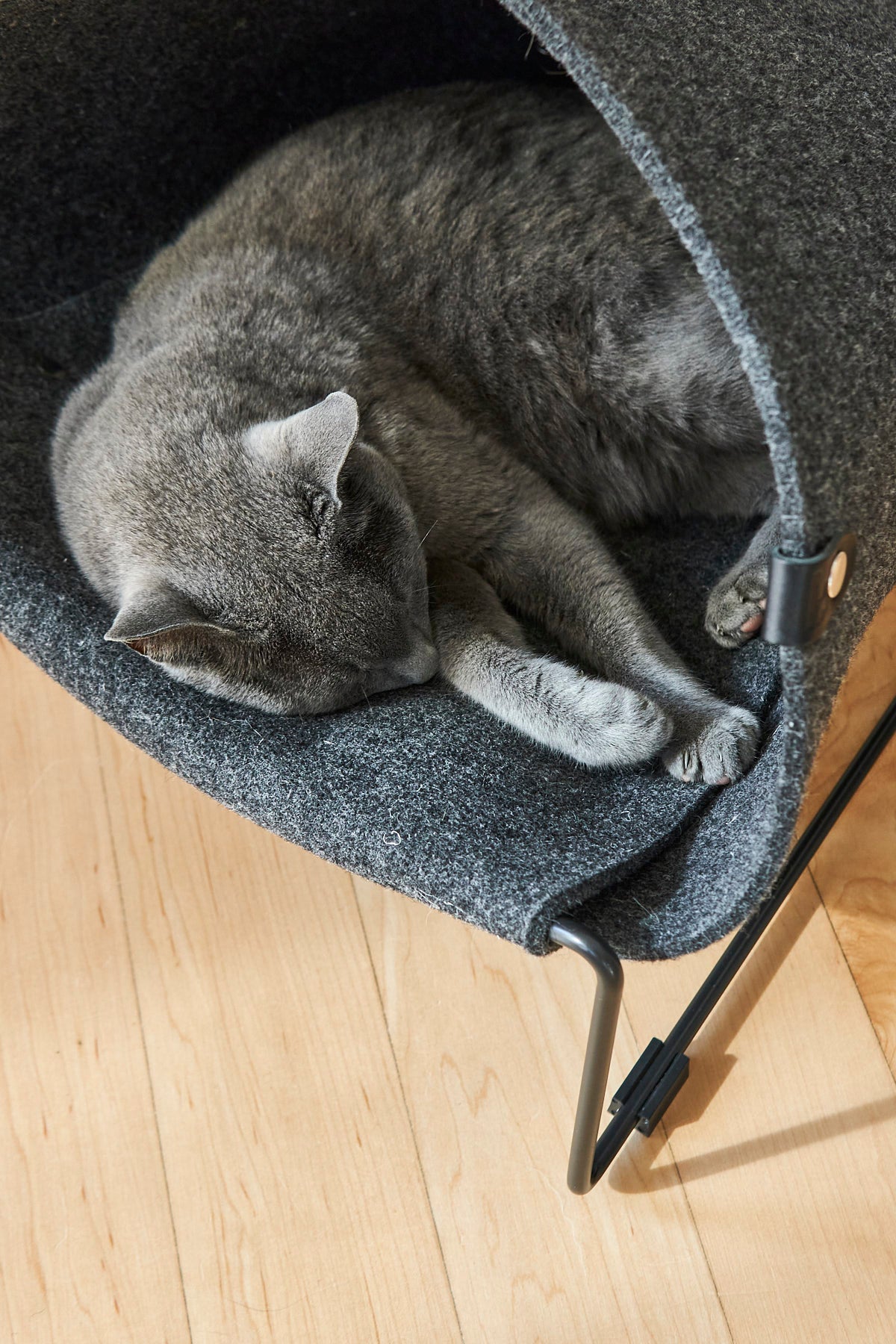 Loggia Cat Cave, Frame Black/Felt Black