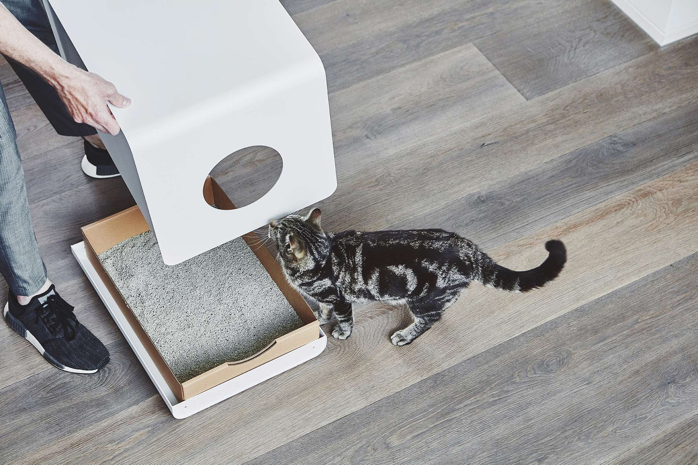 Sito Cat Litter Box, White