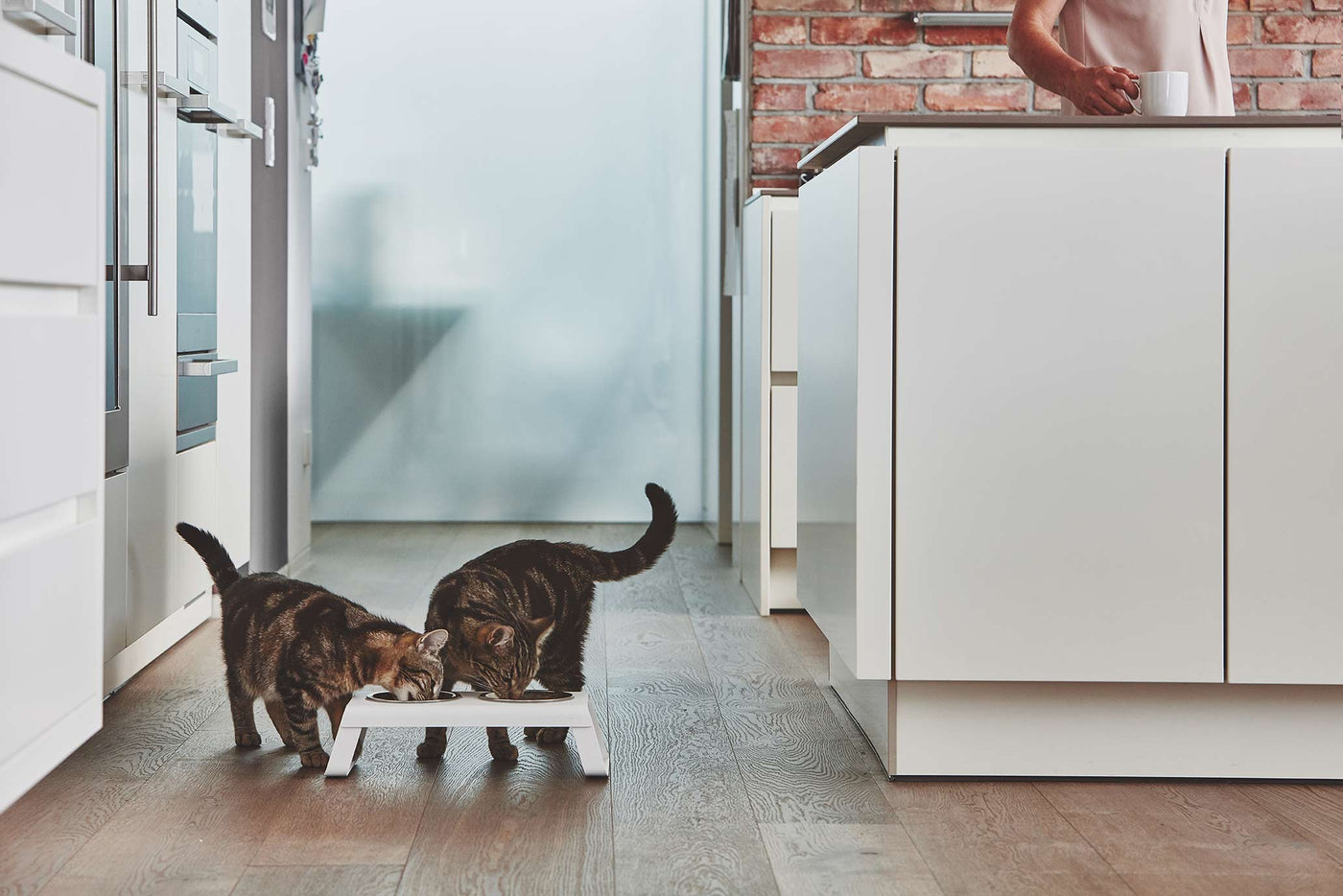 Desco Cat Feeder, Powder-Coated, Steel Bowls, White