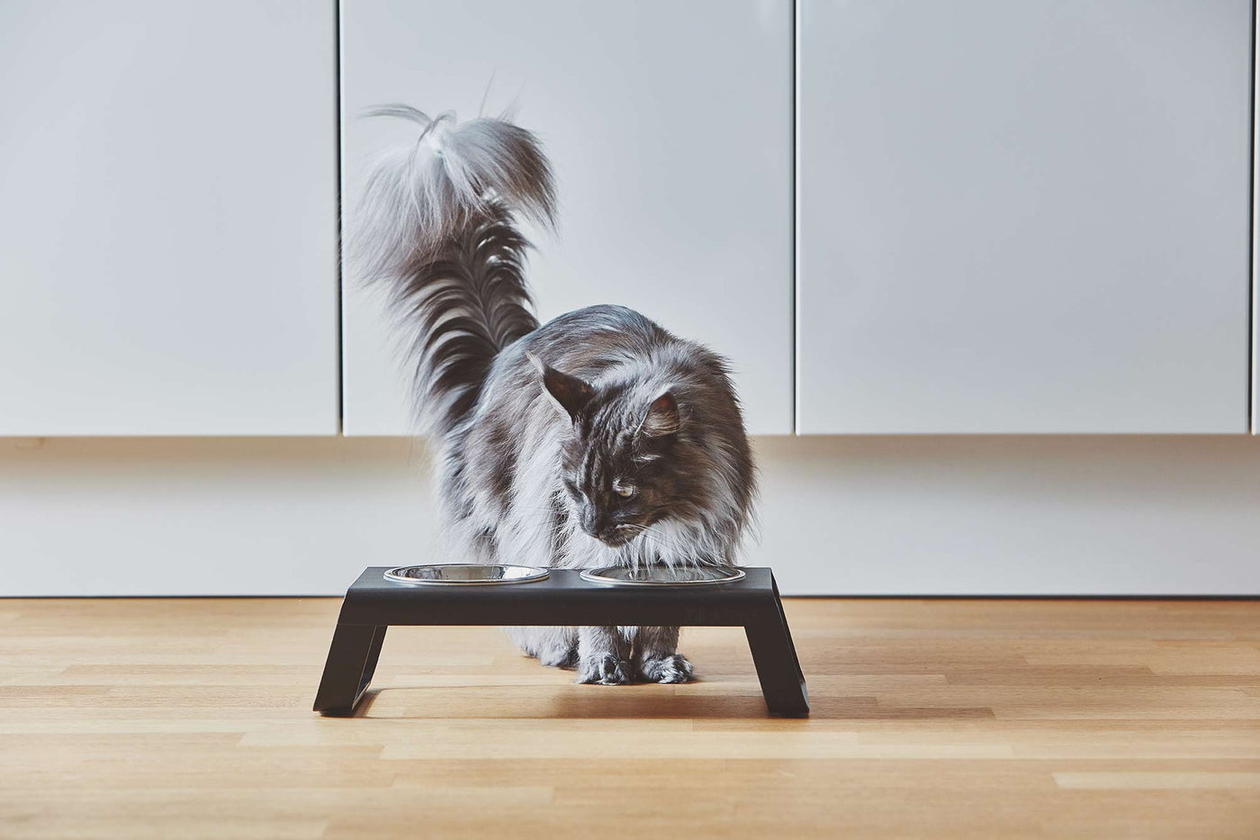 Desco Cat Feeder, Powder-Coated, Steel Bowls, Black