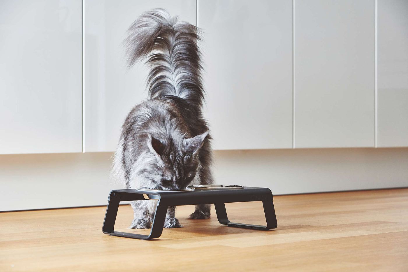 Desco Cat Feeder, Powder-Coated, Steel Bowls, Black