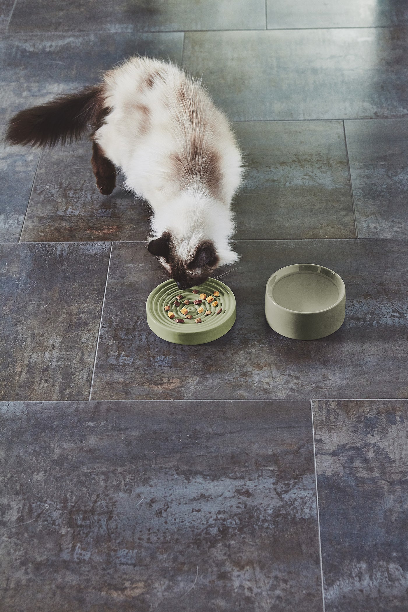Piatto Cat Bowl, Grolive
