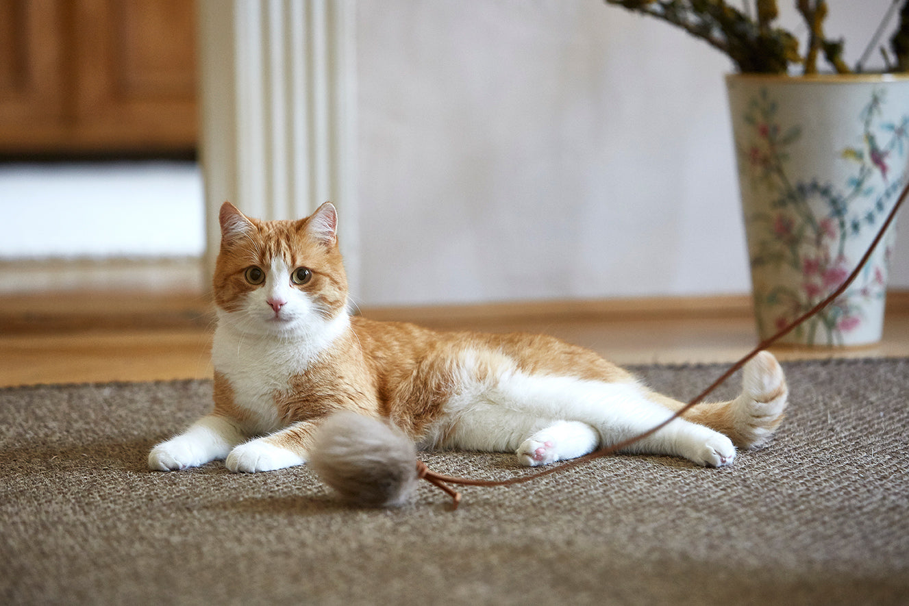 Topo Cat Toy, Leather Cognac