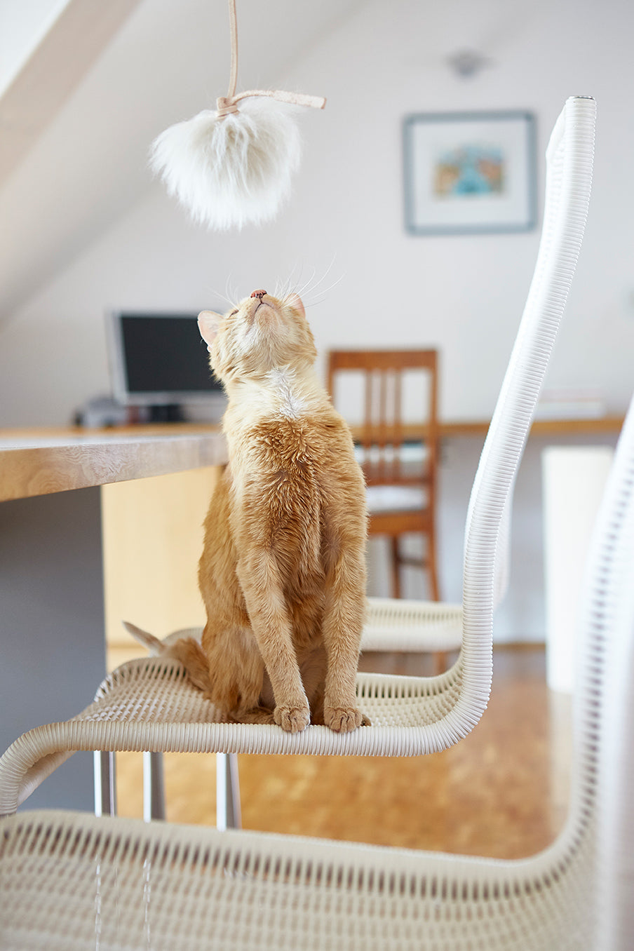 Topo Cat Toy, Leather Natural
