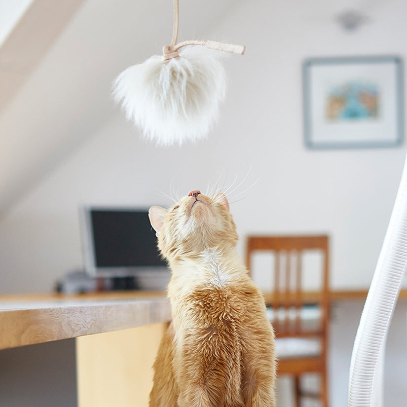Topo Cat Toy, Leather Natural