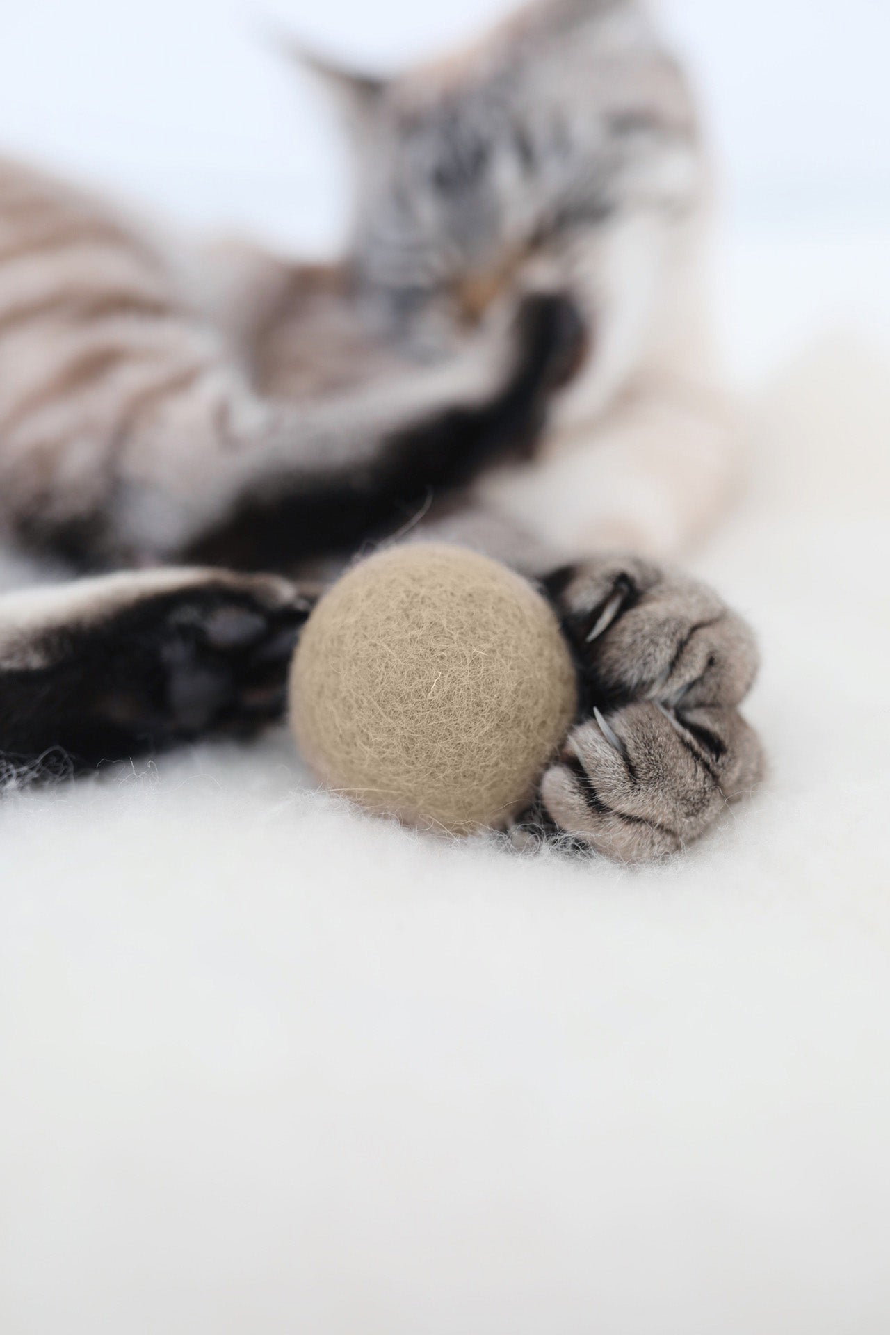 Globo Cat Toy, Nougat
