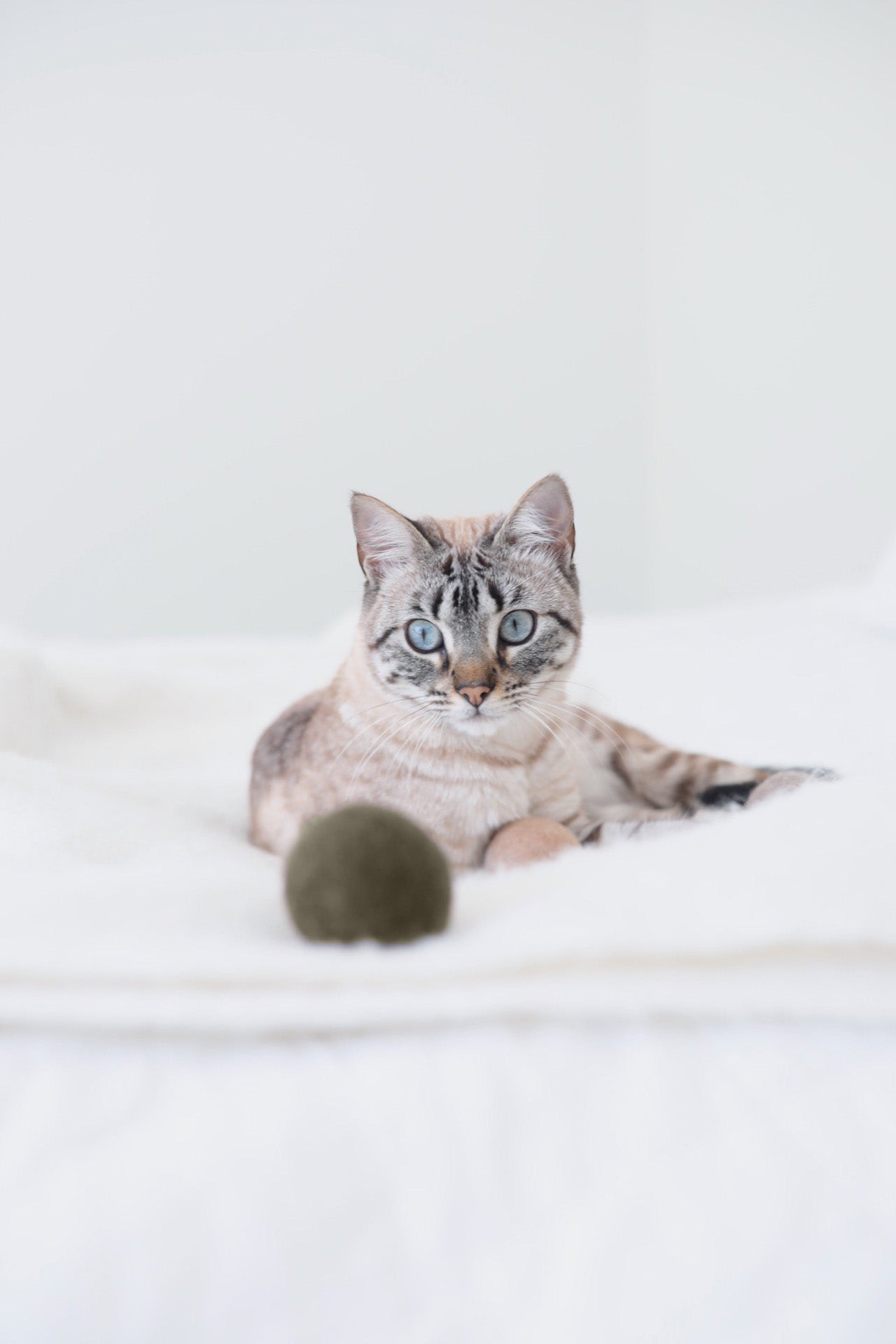 Globo Cat Toy, Nougat