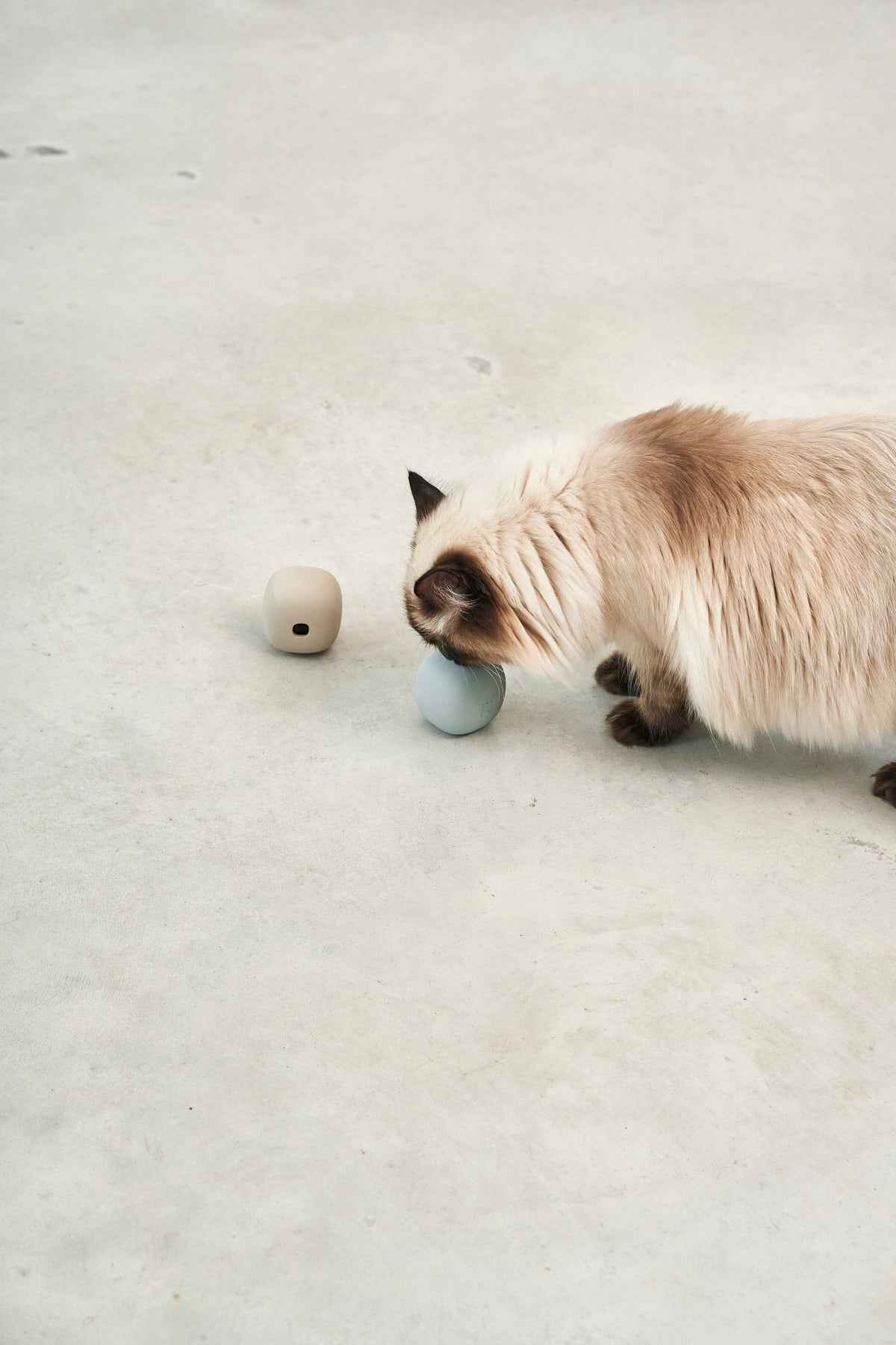 Rotolo Activity Toy