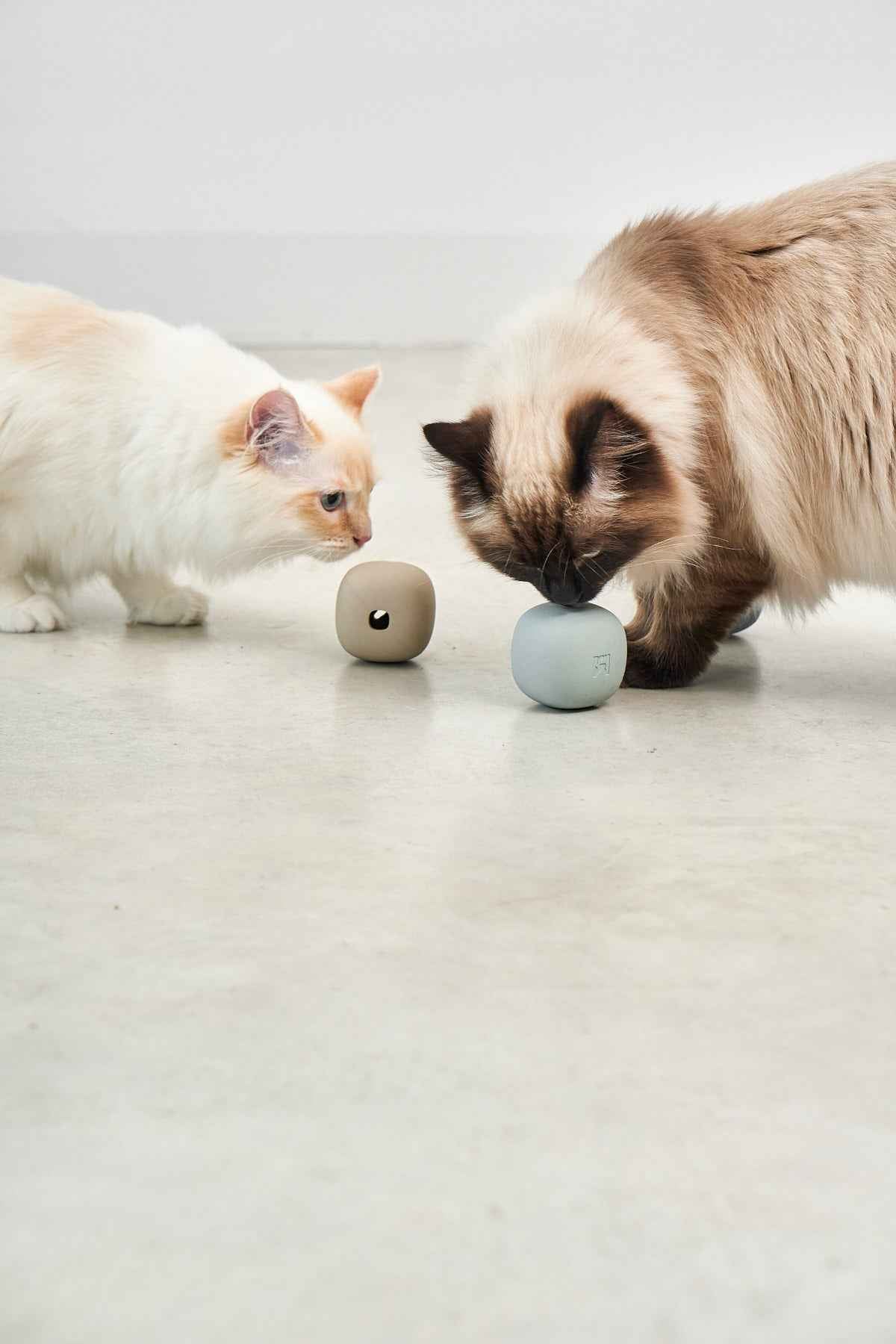 Rotolo Activity Toy