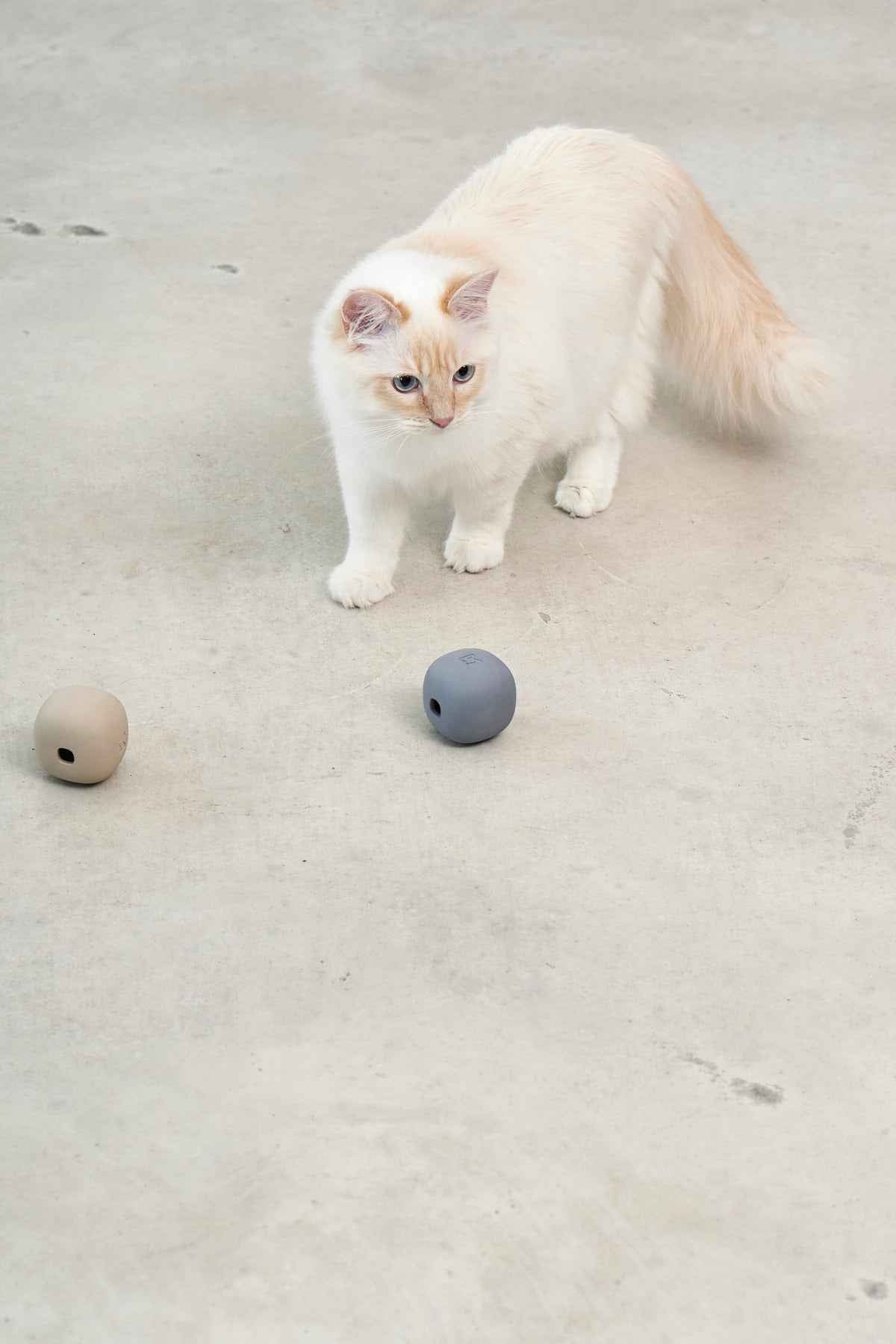 Rotolo Activity Toy