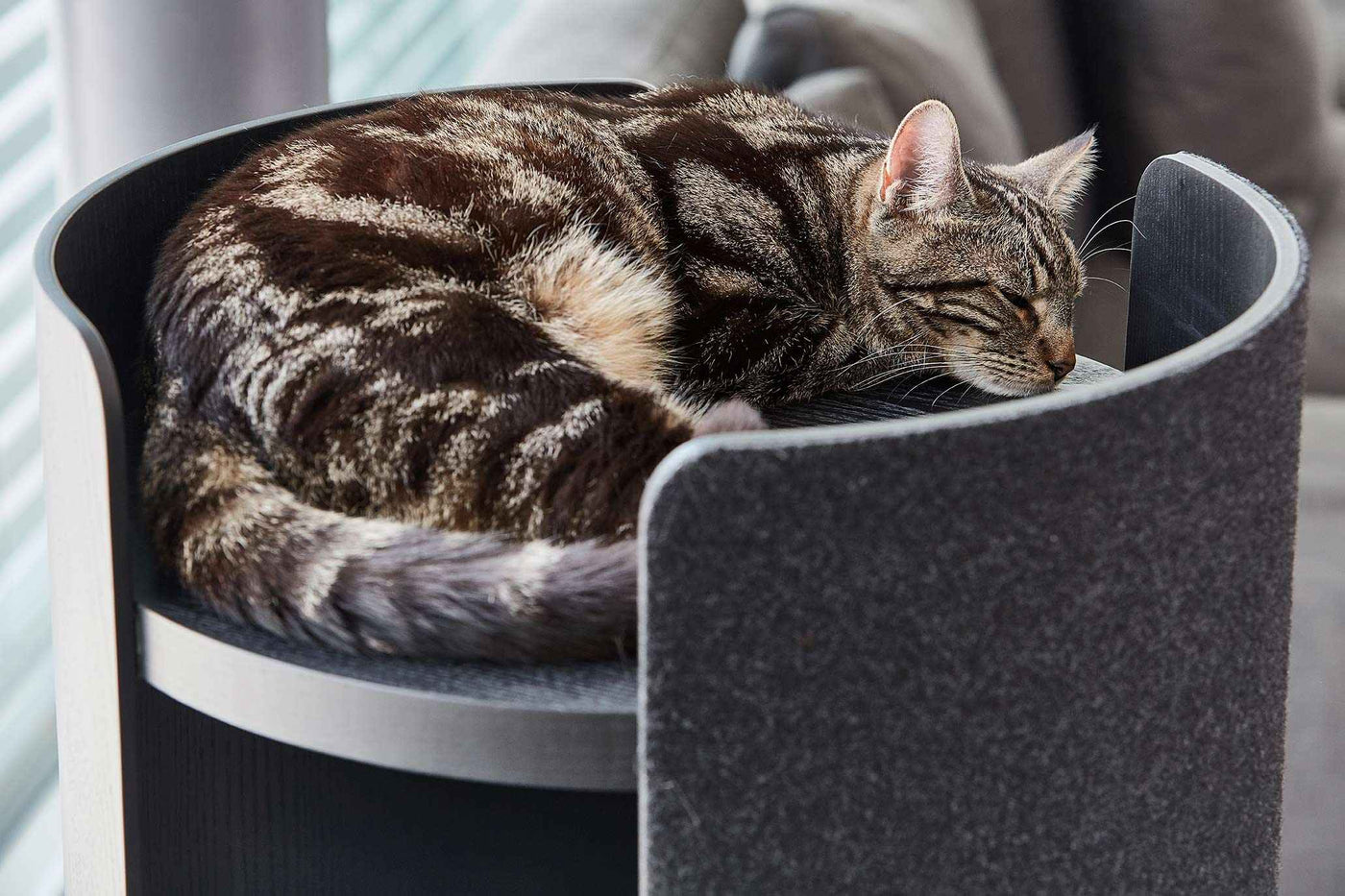 Torre Cat Tower