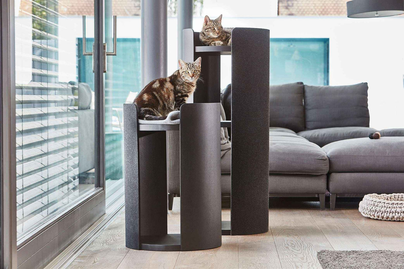 Torre Cat Tower